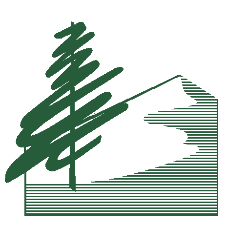 Cnlm%20logo green
